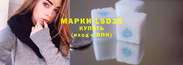 гашик Магас