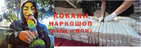 гашик Магас