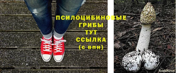 шишки Липки