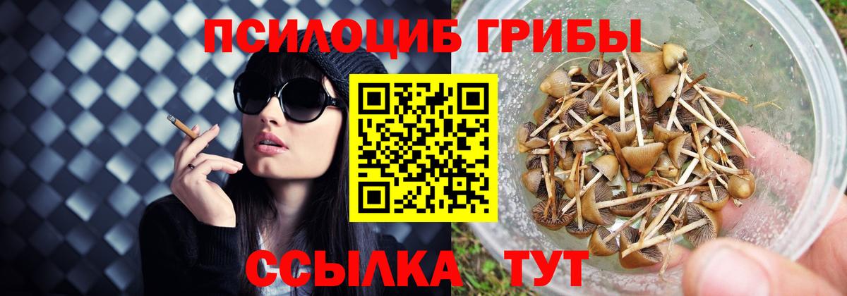 Дзержинск  Галлюциногенные грибы Magic Shrooms  Вход с VPN 